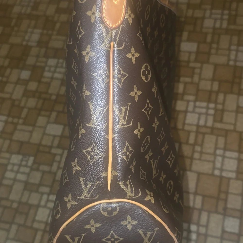 Louis Vuitton Monogram Delightful Bag in Brown and Tan Leather - Picture 11 of 14